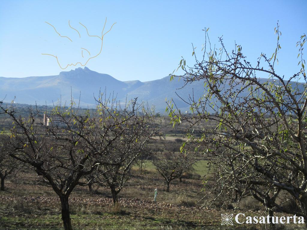 Casa Tuerta Alcalá de Moncayo Exterior foto